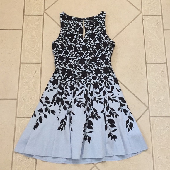 Maggy London Dresses & Skirts - Maggy London floral print derby dress Maggy London Dresses & Skirts - Maggy London floral print derby dress